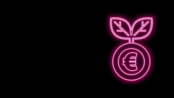Zářící neonová čára Euro rostlina ikona izolované na černém pozadí. Koncept růstu obchodních investic. Úspory peněz a investice. Grafická animace pohybu videa 4K — Stock video