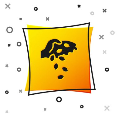 Beyaz arka planda izole edilmiş özel bir bitki simgesinin siyah tohumları. Sarı kare düğme. Vektör