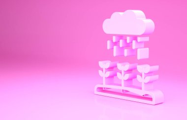Pembe bitki filizleri, pembe arka planda izole edilmiş yağmur ikonunda yetişir. Tohumlama konsepti. Minimalizm kavramı. 3d illüstrasyon 3B canlandırma
