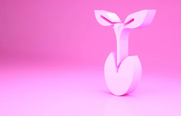 Pink Sprout icon isolated on pink background. Seed and seedling. Leaves sign. Leaf nature. Minimalism concept. 3d illustration 3D render — Stock Photo, Image