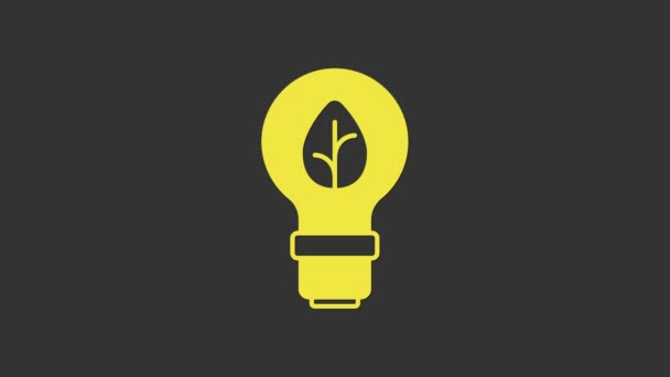 Žlutá žárovka s ikonou listu izolovanou na šedém pozadí. Eko-energetický koncept. Alternativní koncept energie. Grafická animace pohybu videa 4K — Stock video