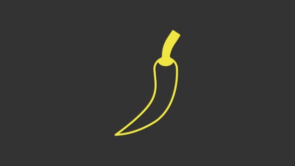 Icona peperoncino piccante giallo isolato su sfondo grigio. Progettazione per generi alimentari, prodotti culinari, condimento e spezie, libro di cucina. Animazione grafica 4K Video motion — Video Stock