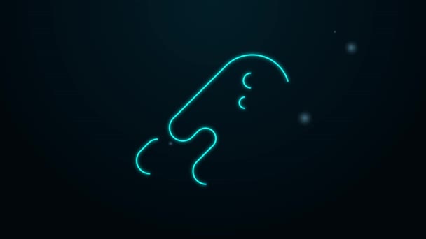 Žhnoucí neonová čára Kometa padá dolů rychle ikona izolované na černém pozadí. Grafická animace pohybu videa 4K — Stock video