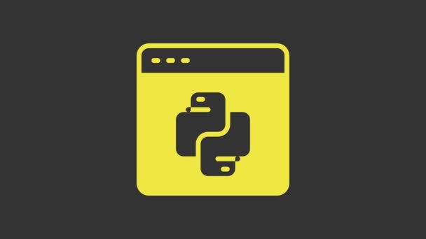 Ícone de linguagem de programação Python amarelo isolado em fundo cinza. Python linguagem de codificação sinal no navegador. Dispositivo, programação, desenvolvimento de conceito. Animação gráfica em movimento de vídeo 4K — Vídeo de Stock