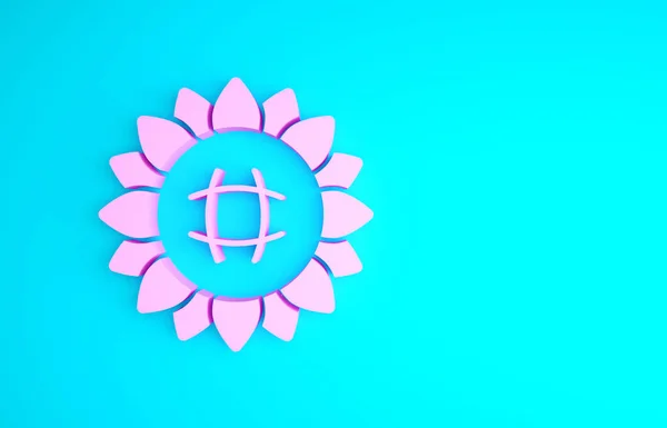 Рожева піктограма соняшнику ізольована на синьому фоні. Концепція мінімалізму. 3D ілюстрація 3D рендеринга — стокове фото