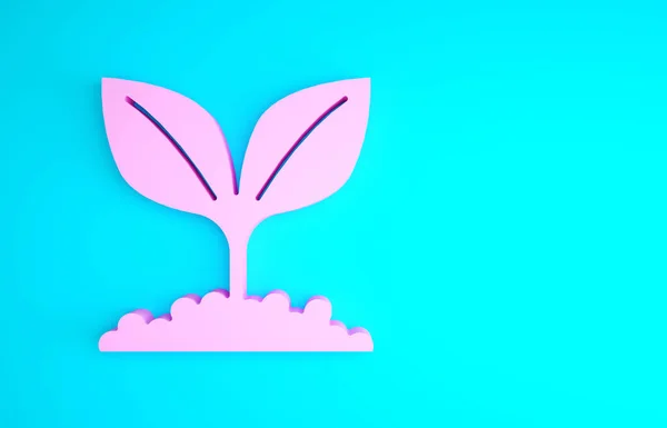 Icono de Pink Plant aislado sobre fondo azul. Semillas y plántulas. Firma de hojas. La naturaleza de la hoja. Concepto minimalista. 3D ilustración 3D render —  Fotos de Stock