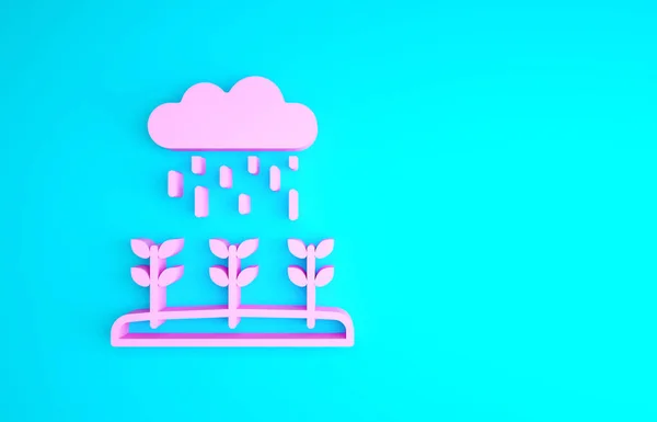 I germogli delle piante rosa crescono nell'icona della pioggia isolata su sfondo blu. Concetto di piantina. Concetto minimalista. Illustrazione 3d rendering 3D — Foto Stock