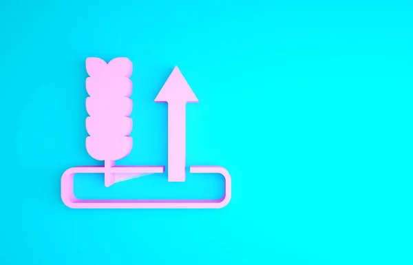 Rózsaszín Gabonafélék készlet rizs, búza, kukorica, zab, rozs, árpa ikon elszigetelt kék alapon. Búzakenyér szimbólumok fülei. Minimalizmus koncepció. 3d illusztráció 3D render — Stock Fotó