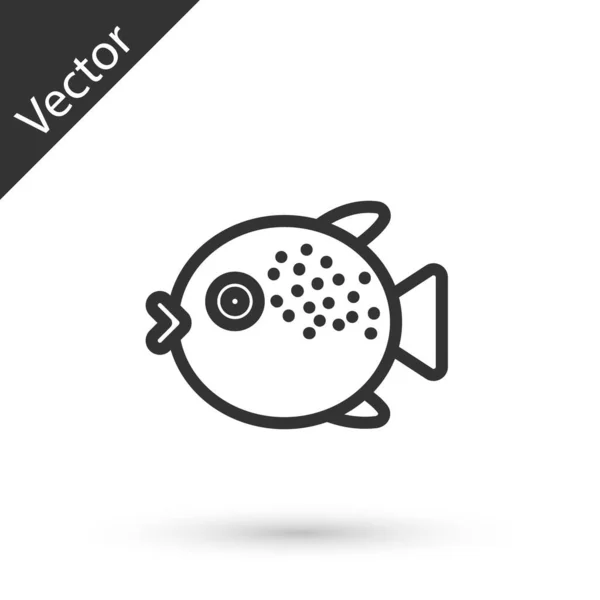 Linie gri Pictograma Puffer pește izolat pe fundal alb. Fugu pește japonez puffer pește. Vector . — Vector de stoc