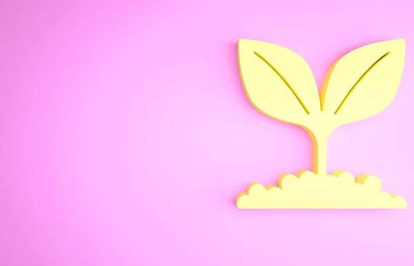 Κίτρινη Plant εικονίδιο απομονώνονται σε ροζ φόντο. Σπόροι και σπορά. Αφήνει σημάδι. Φύλλα της φύσης. Μινιμαλιστική έννοια. 3d απεικόνιση 3D καθιστούν — Φωτογραφία Αρχείου