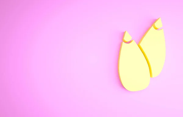 Graines jaunes d'une icône végétale spécifique isolées sur fond rose. Concept de minimalisme. Illustration 3D rendu 3D — Photo