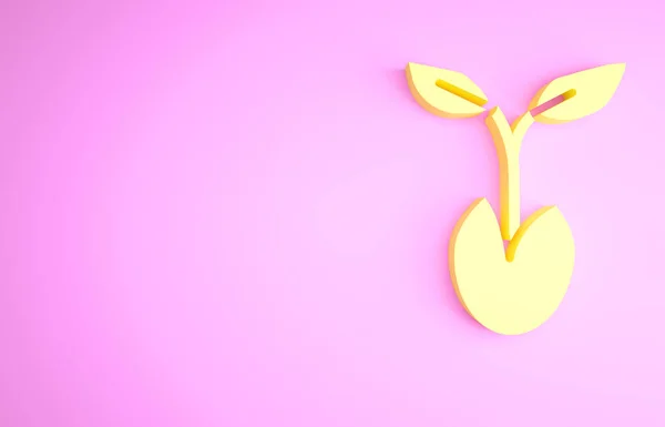Icono de brote amarillo aislado sobre fondo rosa. Semillas y plántulas. Firma de hojas. La naturaleza de la hoja. Concepto minimalista. 3D ilustración 3D render — Foto de Stock