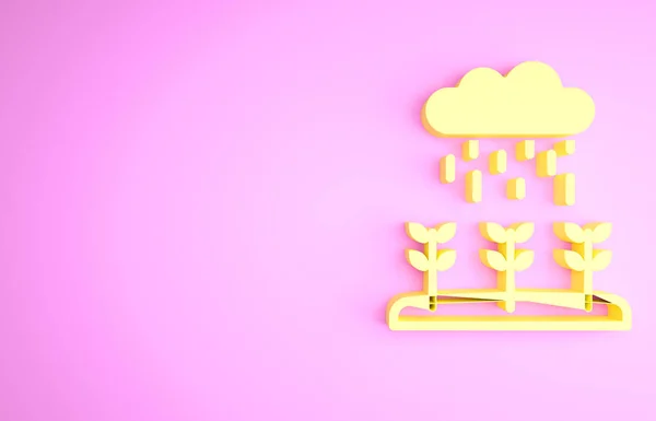 Brotes de plantas amarillas crecen en el icono de la lluvia aislado sobre fondo rosa. Concepto de semillero. Concepto minimalista. 3D ilustración 3D render — Foto de Stock