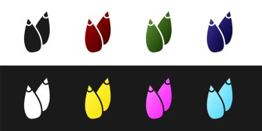 Siyah ve beyaz arkaplanda izole edilmiş özel bir bitki simgesinin tohumlarını ayarla. Vektör