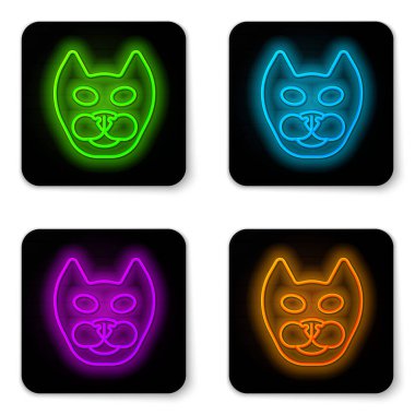 Parlayan neon hattı kedi simgesi beyaz arkaplanda izole edildi. Siyah kare düğme. Vektör