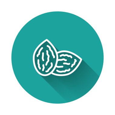 Belirli bir bitki simgesinin uzun gölgeli beyaz çizgisi tohumları. Yeşil daire düğmesi. Vektör