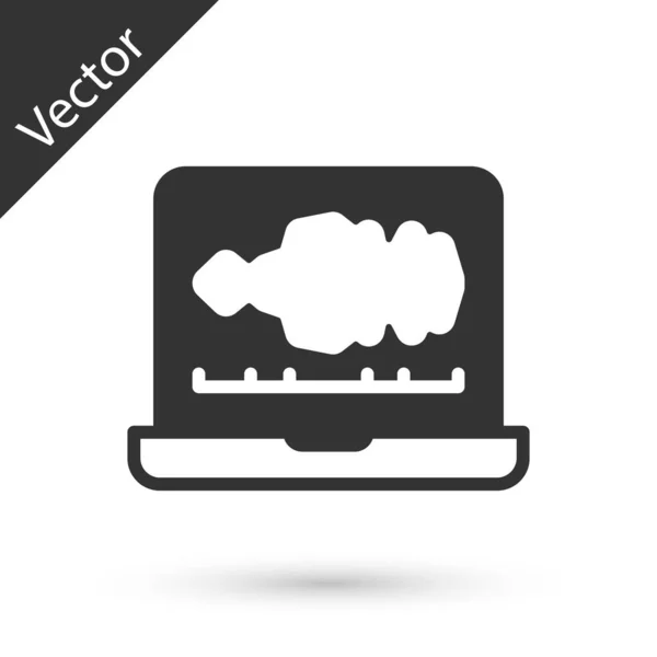 Grey Sound Audio Recorder Editor Software Laptop Icon Isolated White — Wektor stockowy