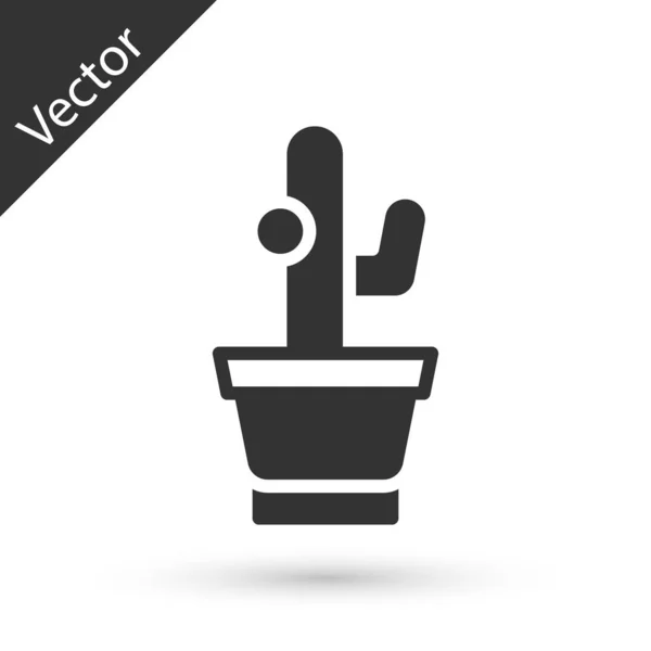Grauer Kaktus Und Sukkulente Topf Isoliert Auf Weißem Hintergrund Pflanze — Stockvektor