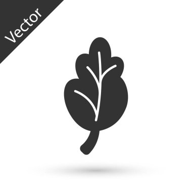 Gri Kore kimchi 'si, beyaz arka planda izole edilmiş lahana ikonu. Vektör