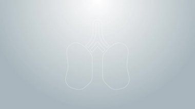Mavi çizgi Ciğerleri simgesi gri arkaplanda izole edildi. 4K Video hareketli grafik canlandırması