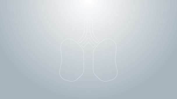 Línea azul Lungs icono aislado sobre fondo gris. Animación gráfica de vídeo 4K — Vídeo de stock