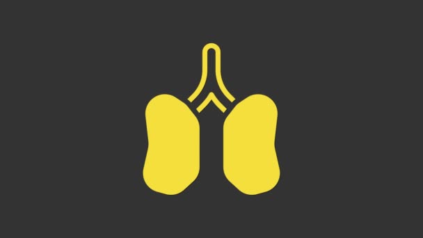 Icono Lungs amarillo aislado sobre fondo gris. Animación gráfica de vídeo 4K — Vídeos de Stock