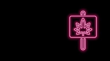 Siyah arka planda parlayan neon hattı tıbbi marihuana veya kenevir yaprağı ikonu. Kenevir sembolü. 4K Video hareketli grafik canlandırması