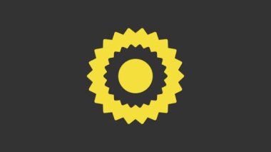 Sarı Güneş simgesi gri arkaplanda izole edildi. 4K Video hareketli grafik canlandırması