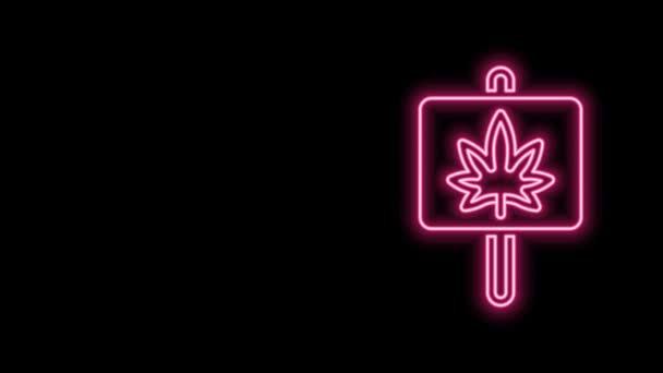 Siyah arka planda parlayan neon hattı tıbbi marihuana veya kenevir yaprağı ikonu. Kenevir sembolü. 4K Video hareketli grafik canlandırması — Stok video