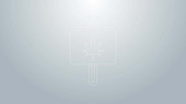 Línea azul Icono de marihuana medicinal o hoja de cannabis aislado sobre fondo gris. Un símbolo de cáñamo. Animación gráfica de vídeo 4K — Vídeos de Stock