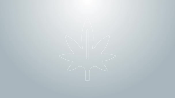 Blaue Linie Medizinisches Marihuana oder Cannabisblatt-Symbol isoliert auf grauem Hintergrund. Hanf-Symbol. 4K Video Motion Grafik Animation — Stockvideo