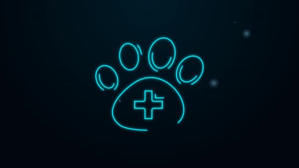 发光的霓虹灯线兽医诊所图标孤立在黑色背景。交叉医院标志。一种风格典型化的爪子印刷狗或猫。宠物急救标志。4K视频运动图形动画 — 图库视频影像