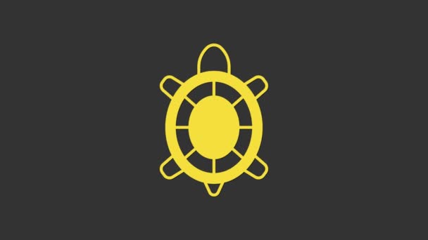 Иконка желтой черепахи выделена на сером фоне. Видеографическая анимация 4K — стоковое видео