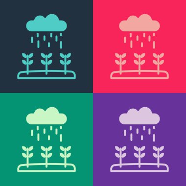 Pop Art Plant filizleri yağmur ikonunda renklendirilmiş olarak yetişir. Tohumlama konsepti. Vektör