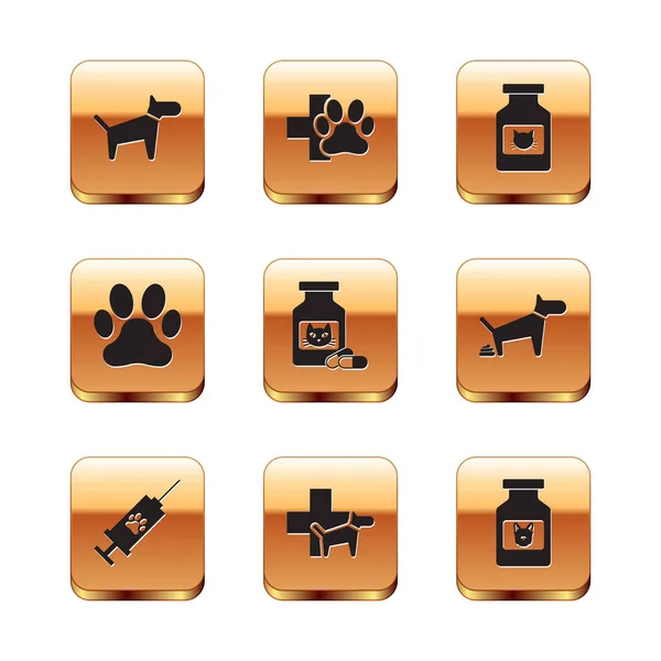 Set Dog, Syringe with pet vaccine, Veterinary clinic, Cat medicine bottle and pills, Paw print and icon. Vector — Vettoriale Stock