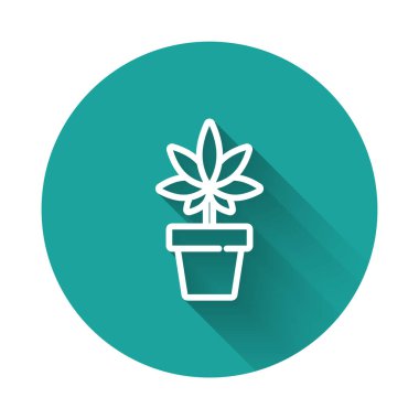 Beyaz çizgi medikal marihuana ya da esrar bitkisi. Esrar ikonunda uzun gölgeli. Esrar yetiştirme konsepti. Kenevir saksısı. Yeşil daire düğmesi. Vektör İllüstrasyonu
