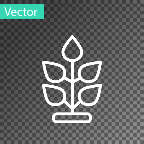 Weiße Linie Pflanzensymbol isoliert auf transparentem Hintergrund. Samen und Sämlinge. Laubblätter winken. Blätternatur. Vektor — Stockvektor