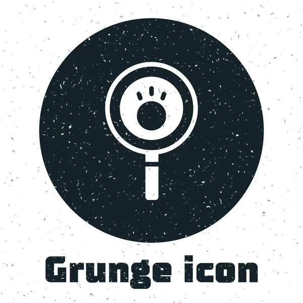 Icono Búsqueda Grunge Paw Aislado Sobre Fondo Blanco Lupa Con — Vector de stock