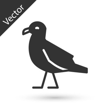 Gri Kuş martı simgesi beyaz arkaplanda izole edildi. Vektör