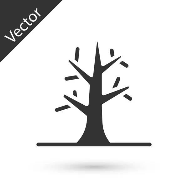 Icono Árbol Desnudo Gris Aislado Sobre Fondo Blanco Vector — Archivo Imágenes Vectoriales