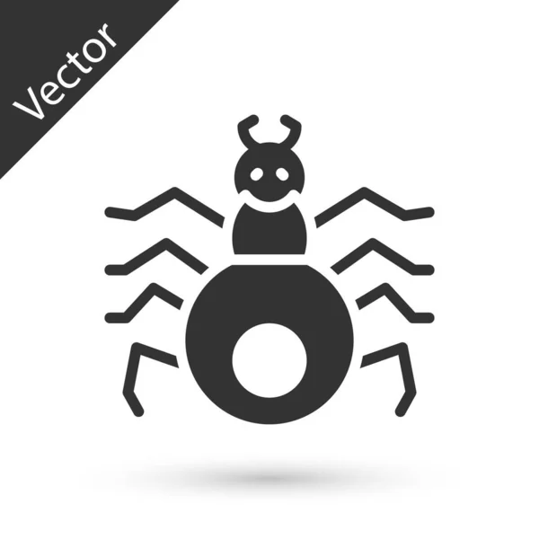 Grijze Spin Pictogram Geïsoleerd Witte Achtergrond Gelukkig Halloween Feest Vector — Stockvector