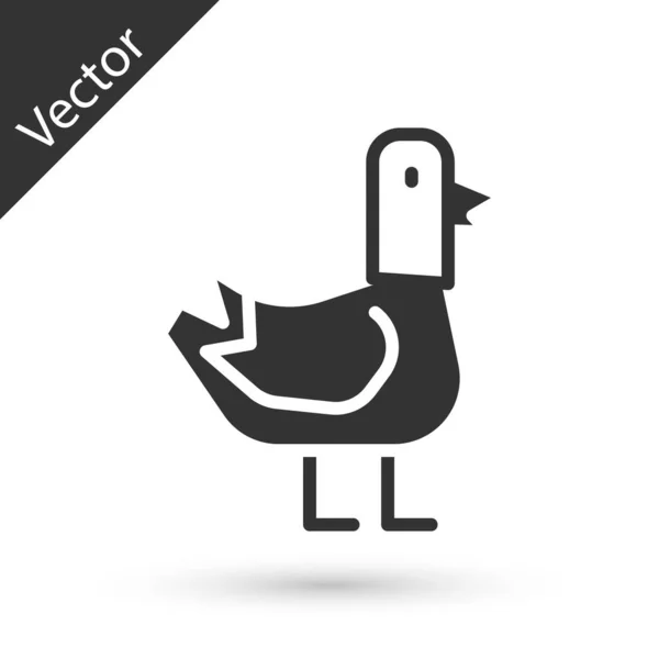 Icono Paloma Gris Aislado Sobre Fondo Blanco Vector — Vector de stock