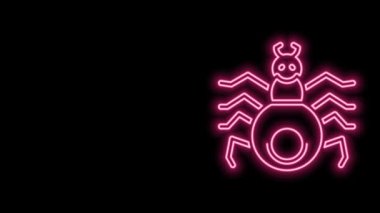 Parlayan neon hattı Örümcek simgesi siyah arkaplanda izole edildi. Mutlu Cadılar Bayramı Partisi. 4K Video hareketli grafik canlandırması