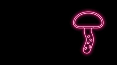 Parlayan neon hattı mantar ikonu siyah arkaplanda izole edildi. 4K Video hareketli grafik canlandırması