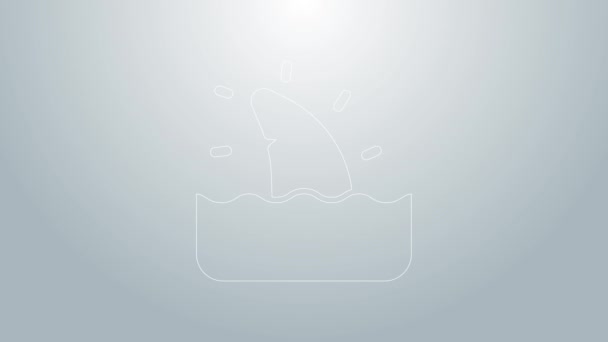 Línea azul Aleta de tiburón en el icono de la ola oceánica aislada sobre fondo gris. Animación gráfica de vídeo 4K — Vídeo de stock