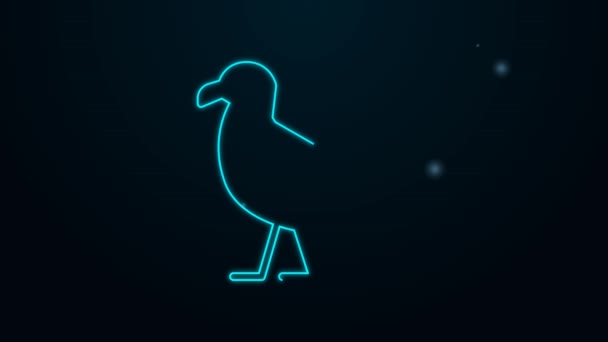 Parlayan neon çizgisi kuş martı simgesi siyah arkaplanda izole edildi. 4K Video hareketli grafik canlandırması — Stok video