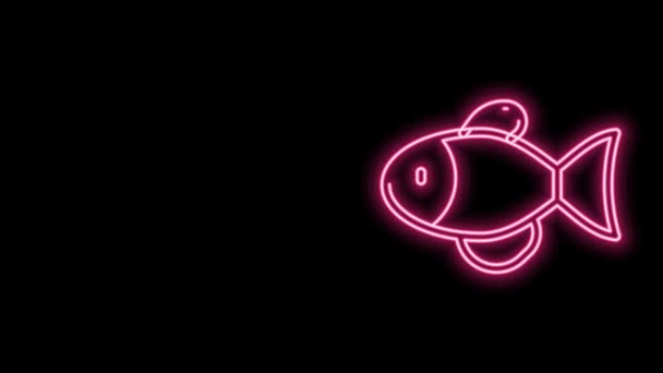 发光的霓虹灯线鱼图标孤立在黑色背景.4K视频运动图形动画 — 图库视频影像