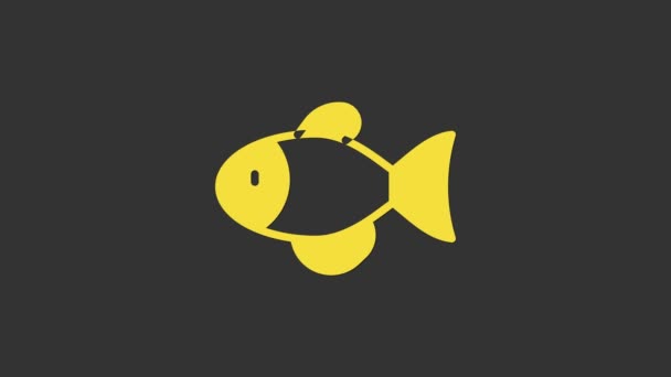 Yellow Fish icon isolated on grey background. 4K Video motion graphic animation — Stock Video