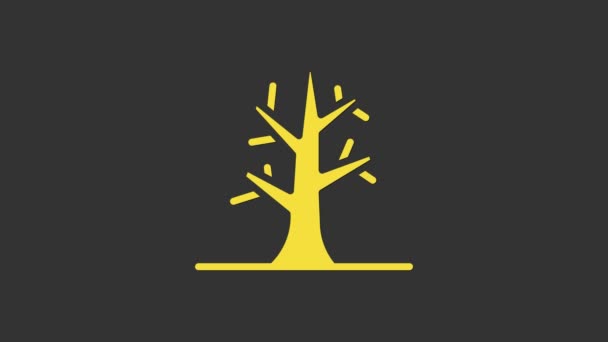 Icono de árbol desnudo amarillo aislado sobre fondo gris. Animación gráfica de vídeo 4K — Vídeo de stock