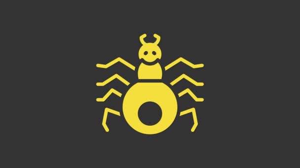 Yellow Spider icon isolated on grey background. Happy Halloween party. 4K Video motion graphic animation — Stock Video